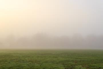thick morning fog in the winter landscape still green field