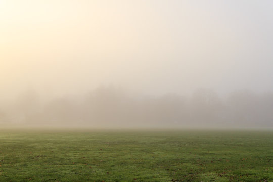 thick morning fog in the winter landscape still green field