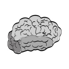 Human brain mind icon vector illustration graphic design