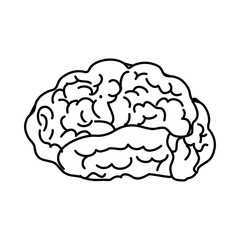 Human brain mind icon vector illustration graphic design