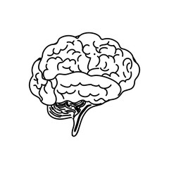 Human brain mind icon vector illustration graphic design