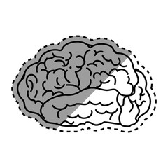 Human brain mind icon vector illustration graphic design