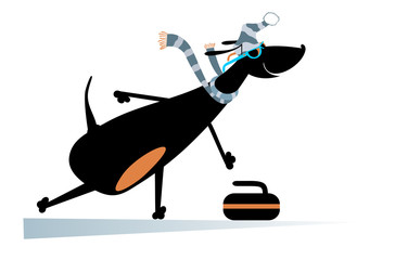 Dog plays curling. Cartoon dachshund a curling player illustration
