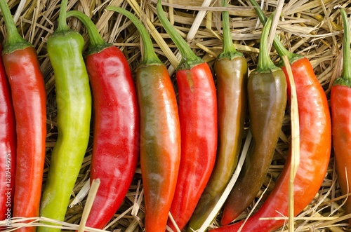 “goat horn hot pepper” Fotos de archivo e imágenes libres de derechos