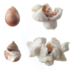 popcorn isolated on white background