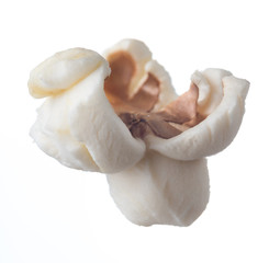 popcorn isolated on white background