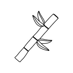 Bamboo green plant icon vector illustration graphic design