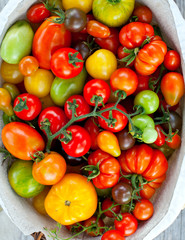 colorful tomatoes in basket