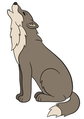 Cartoon animals. Cute beautiful wolf howls.