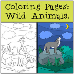 Coloring Pages: Wild Animals. Beautiful wolf howling at the moon