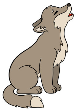 Coyote Cartoon Images – Browse 7,665 Stock Photos, Vectors, and Video | Adobe Stock Coyote Cartoon Images – Browse 7,665 Stock Photos, Vectors, and Video | Adobe Stock