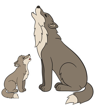 Cartoon animals. Father wolf howls with his little baby.