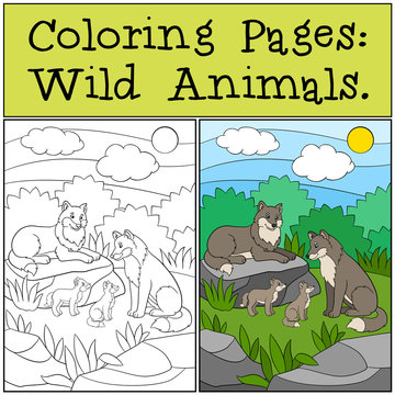 Coloring Pages: Wild Animals. Wolf family in the forest.
