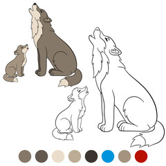 Fototapeta premium Color me: wolf. Father wolf howls with his little baby.