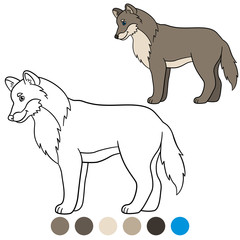 Color me: wolf. Cute beautiful wolf smiles.