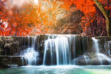 Fototapeta na wymiar Waterfall autumn deep forest scenic natural sunlight