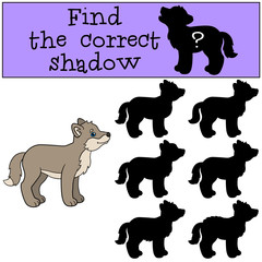 Educational game: Find the correct shadow. Little baby wolf smil