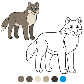 Color me: wolf. Cute beautiful wolf smiles.