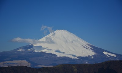 Snow, garden, Mr.Fuji, Hakodate, landscape.