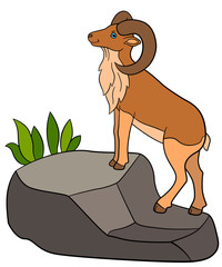 Cartoon animals. Cute beautiful urial stands on the rock.