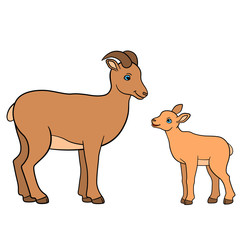 Cartoon animals. Mother urial with her little baby.