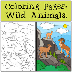 Coloring Pages: Wild Animals. Mother, father and baby urial.