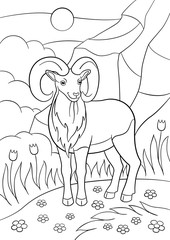 Coloring pages. Cute beautiful urial with great horns.