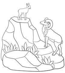 Coloring pages. Father and baby urial on the mountains.