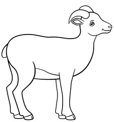 Coloring pages. Little cute lady urial smiles.