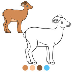 Color me: urial. Little cute lady urial smiles.
