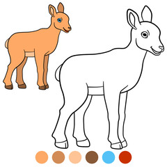Color me: urial. Little cute baby urial smiles.