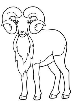 Coloring pages. Cute beautiful urial with huge horns.