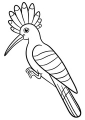 Coloring pages. Cute beautiful hoopoe sits. © ya_mayka