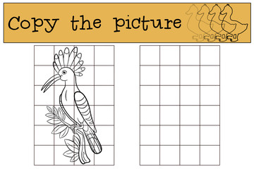 Educational game: Copy the picture. Cute beautiful hoopoe smiles