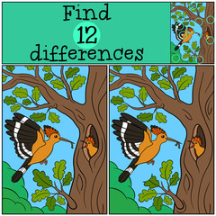 Educational game: Find differences. Mother hoopoe feeds her baby © ya_mayka