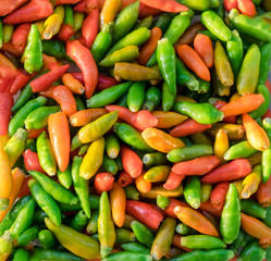 Hot chilis ingredient food colorful background