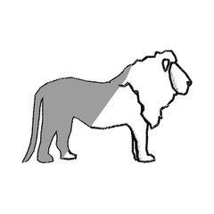 lion african animal icon vector illustration graphic design