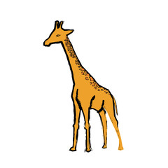 giraffe african animal icon vector illustration graphic design