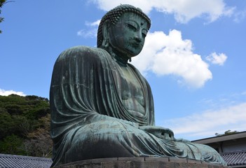 Obraz premium mountain,skyscraper,tree,views,garden,flowers,buddha.