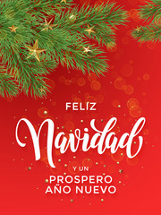 Fototapeta na wymiar Spanish New Year Feliz Ano Nuovo greeting card decoration background