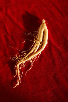 Chinese Medicinal Herbs, Ginseng