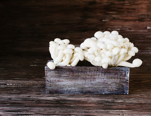 white Chinese mushrooms on a wooden background, selective focus
