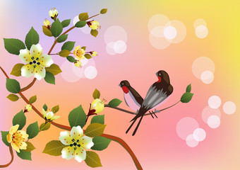 Evening in the garden blooming cherry and birds sing