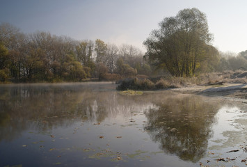 Fototapeta na wymiar River landscape and autumn wood