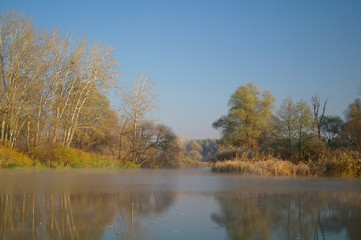 Fototapeta na wymiar River landscape and autumn wood