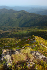 Fototapeta na wymiar rock lit morning sunlight in the Carpathian Mountains