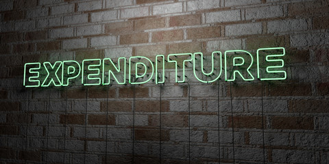 EXPENDITURE - Glowing Neon Sign on stonework wall - 3D rendered royalty free stock illustration.  Can be used for online banner ads and direct mailers..