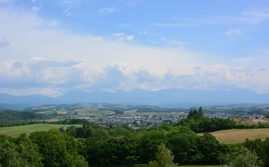 Fototapeta na wymiar Green mountain, Japanese garden,landscape views.