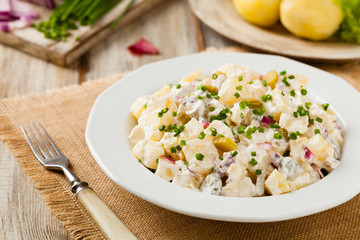 Traditional German potato salad with cucumber, onion and mayonna
