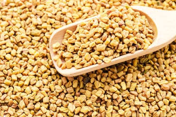wooden scoop with fenugreek seeds fenugreek seeds.